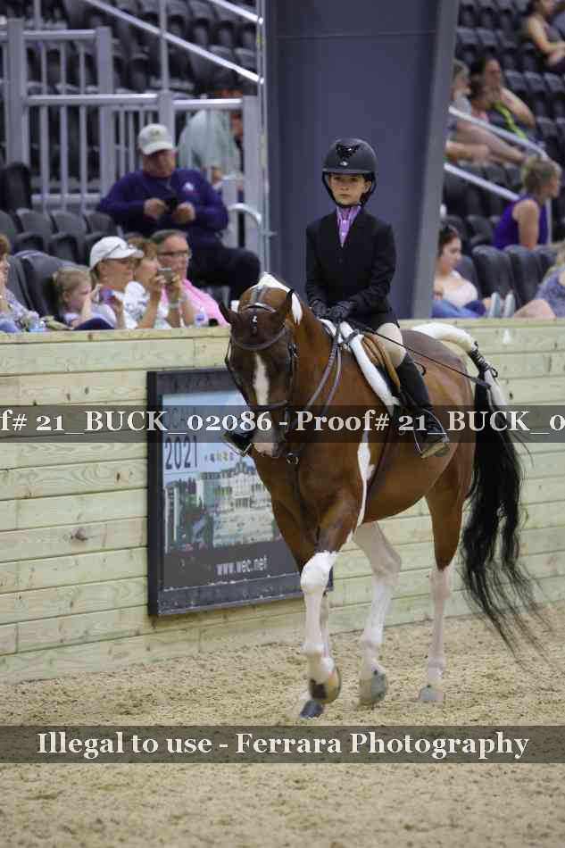 Proof 21_BUCK_02086