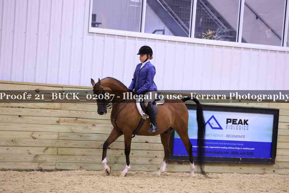 Proof 21_BUCK_02087