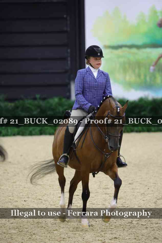 Proof 21_BUCK_02089