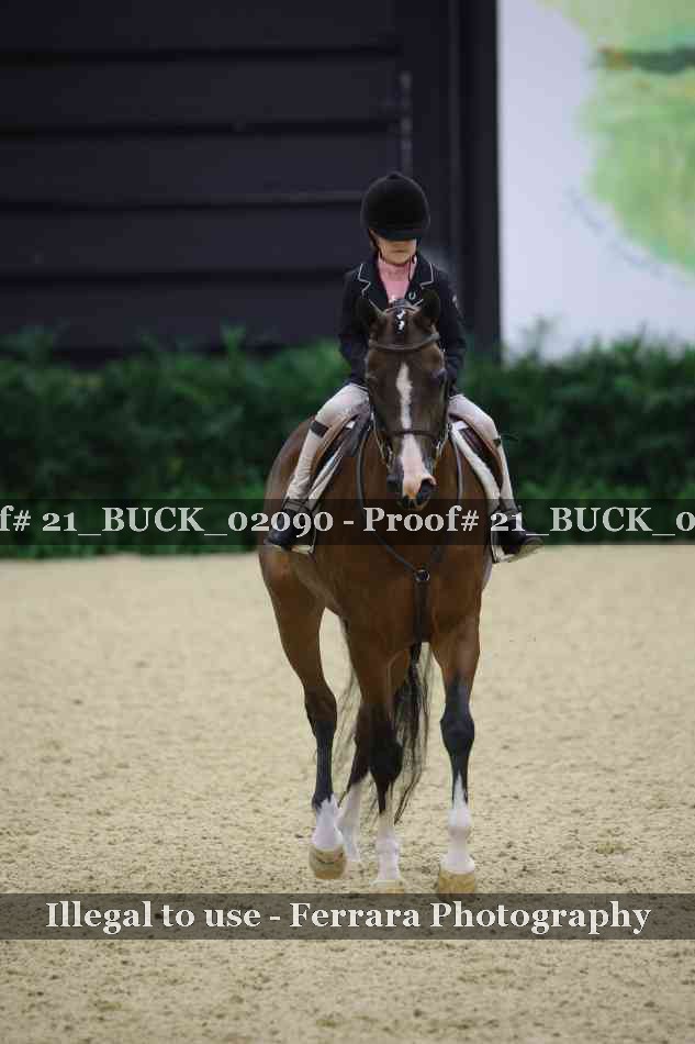 Proof 21_BUCK_02090