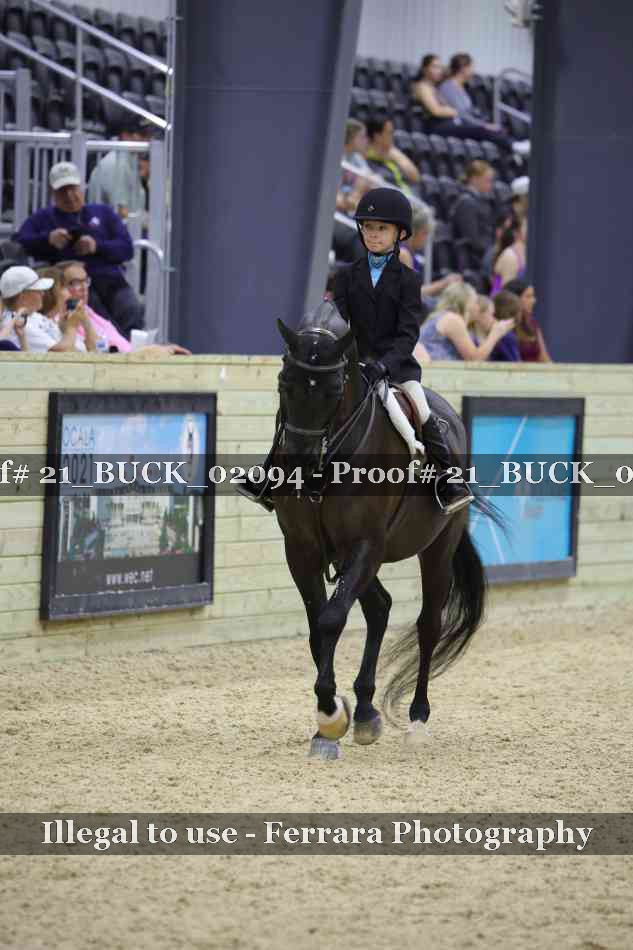 Proof 21_BUCK_02094