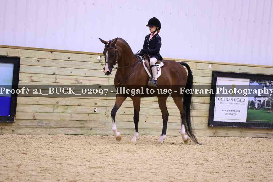 Proof 21_BUCK_02097
