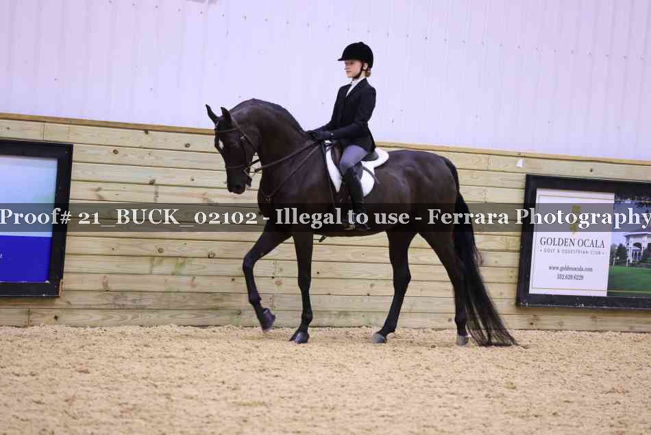 Proof 21_BUCK_02102