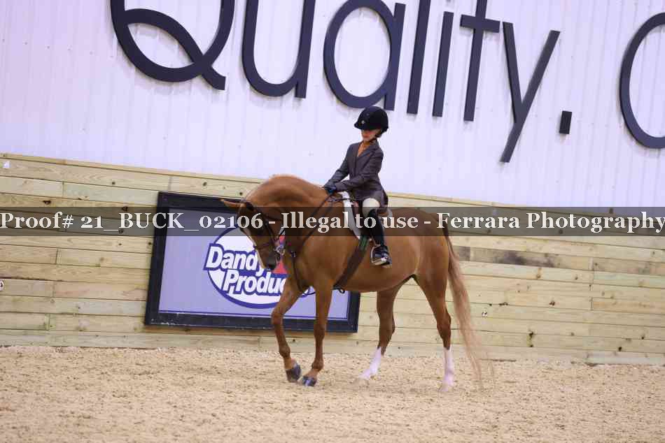 Proof 21_BUCK_02106