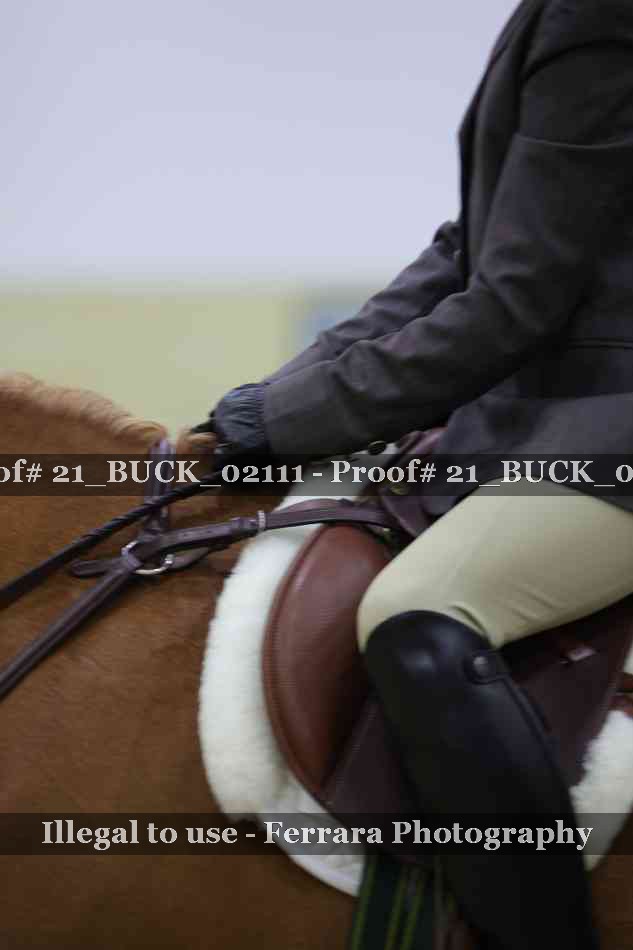 Proof 21_BUCK_02111