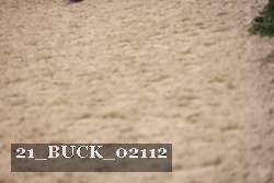 21_BUCK_02112 proof