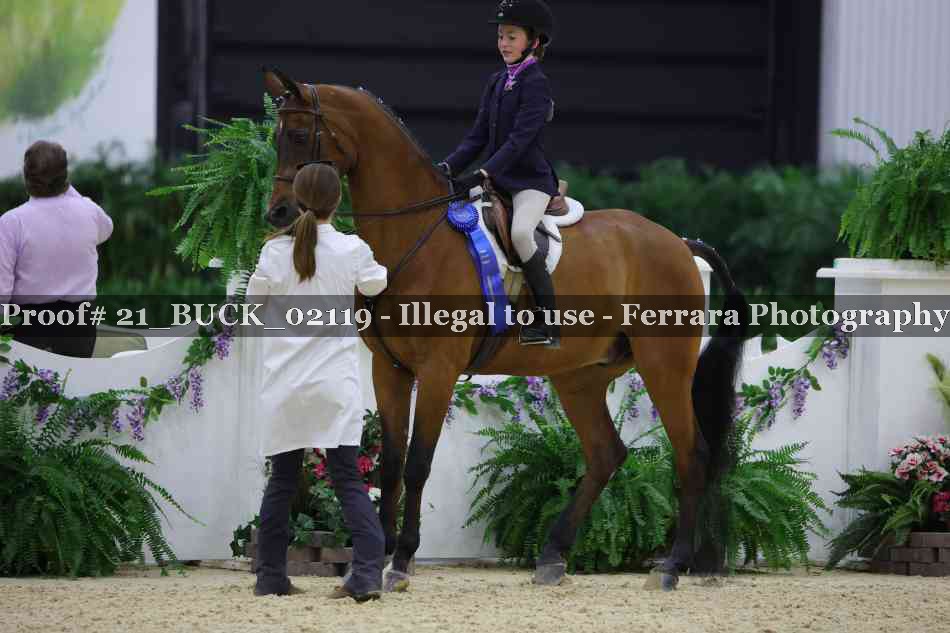 Proof 21_BUCK_02119