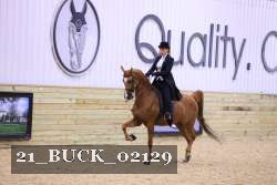 21_BUCK_02129 proof
