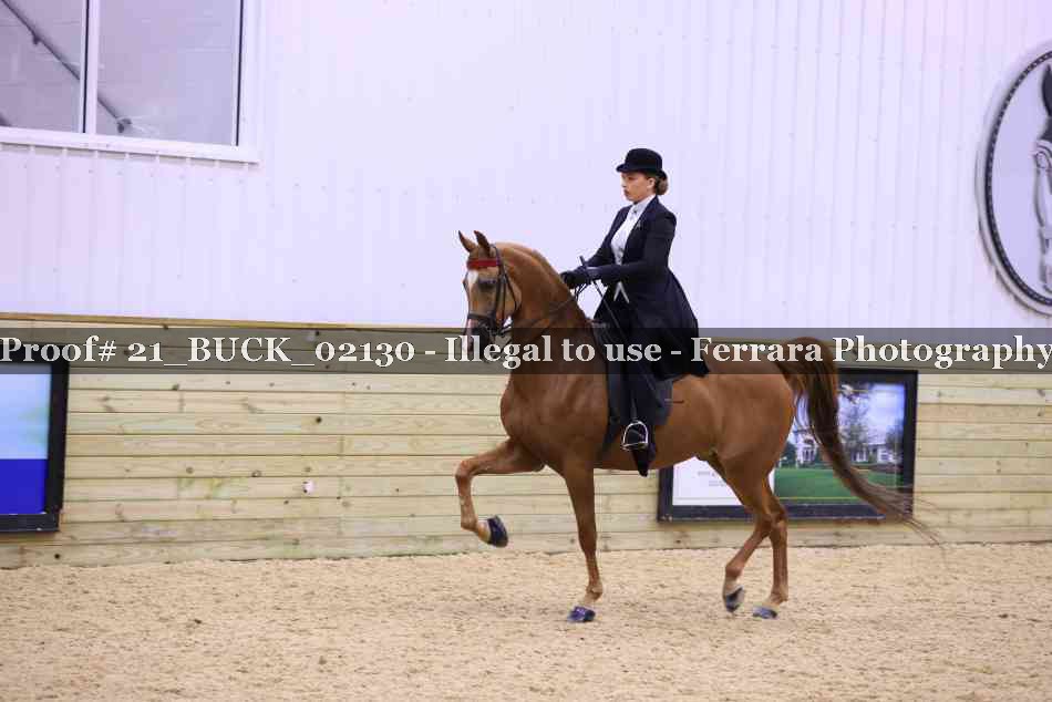 Proof 21_BUCK_02130