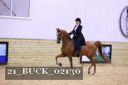 21_BUCK_02130 proof