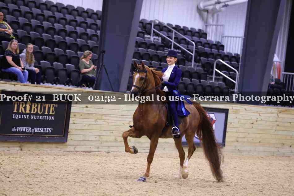 Proof 21_BUCK_02132