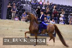 21_BUCK_02134 proof