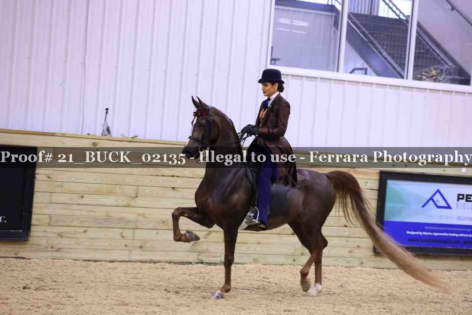 Proof 21_BUCK_02135