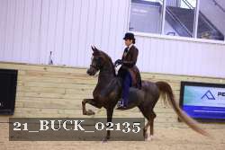 21_BUCK_02135 proof