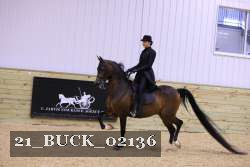 21_BUCK_02136 proof