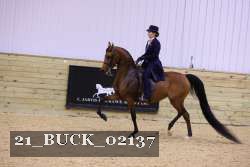 21_BUCK_02137 proof