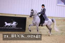 21_BUCK_02142 proof