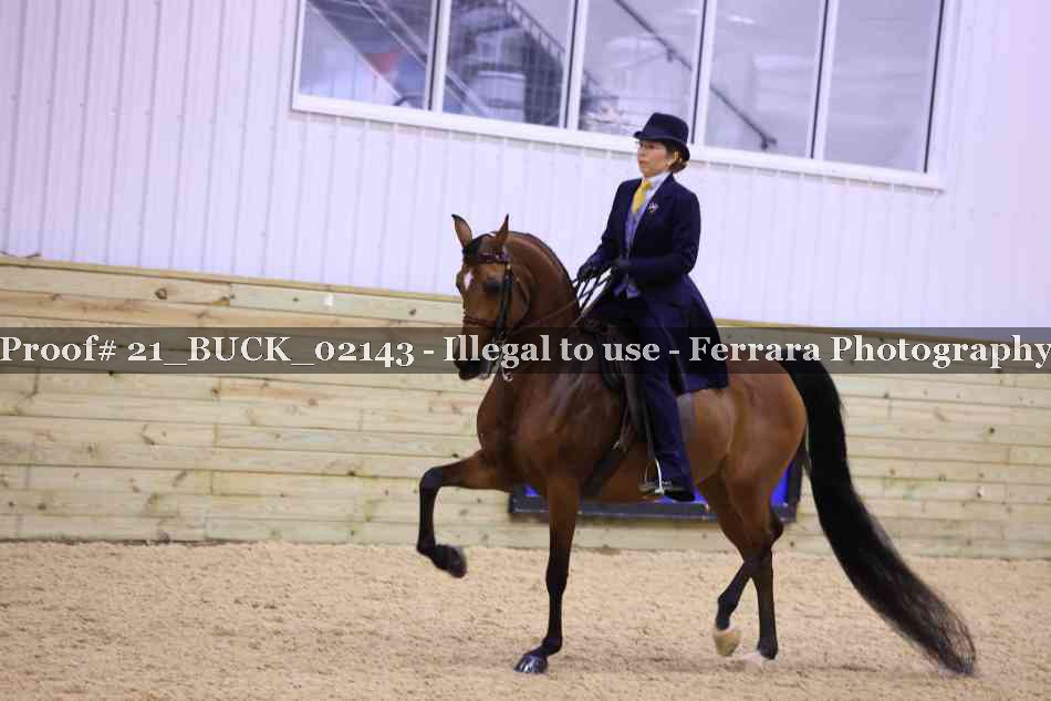 Proof 21_BUCK_02143