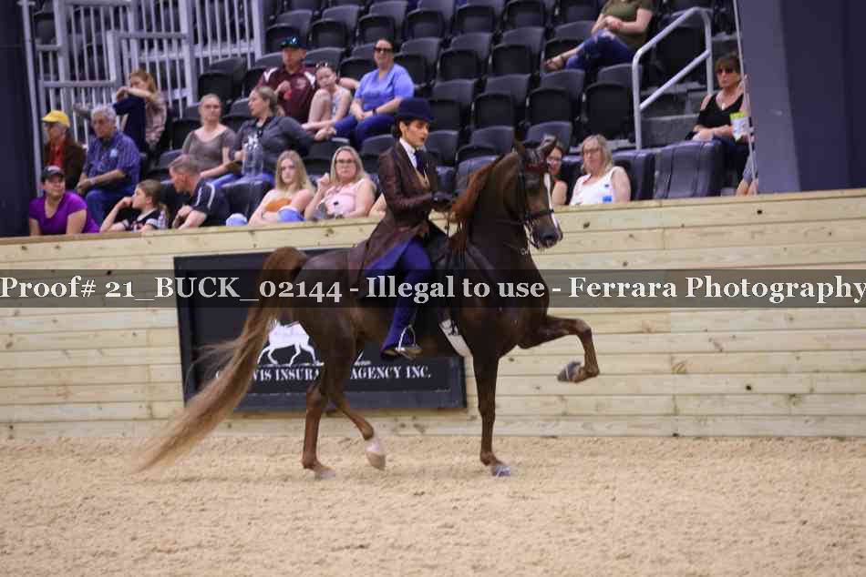 Proof 21_BUCK_02144