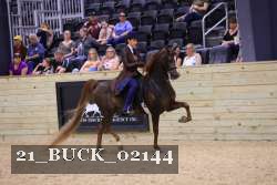21_BUCK_02144 proof