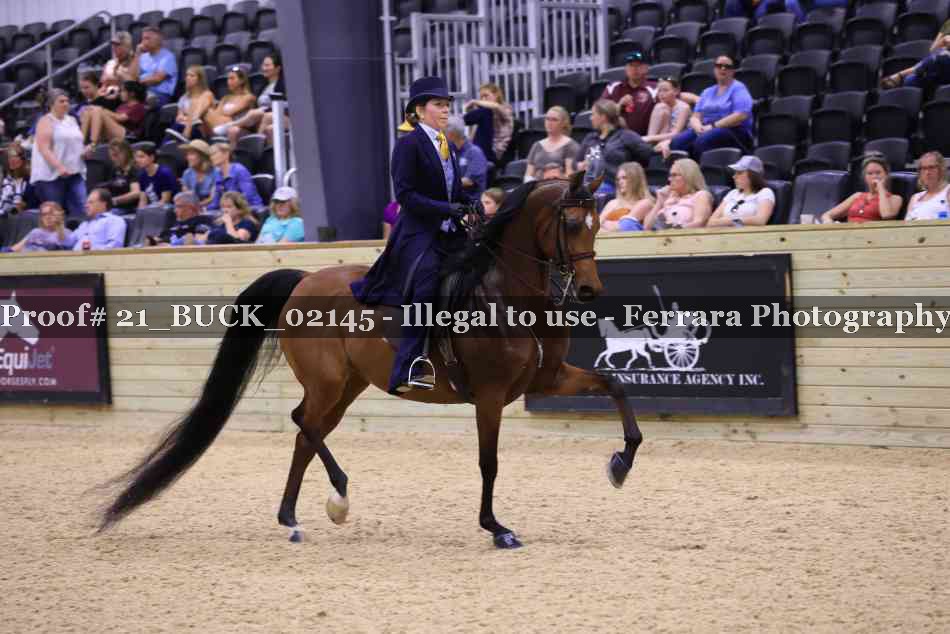 Proof 21_BUCK_02145