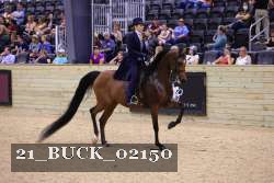 21_BUCK_02150 proof