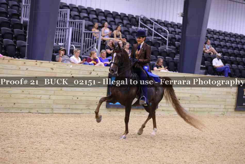 Proof 21_BUCK_02151