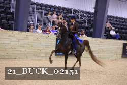21_BUCK_02151 proof