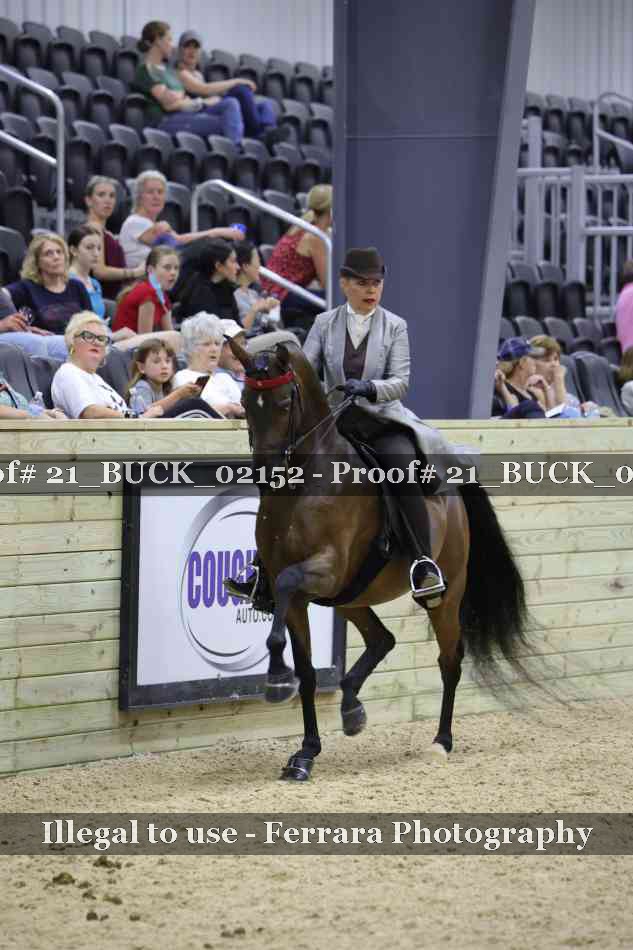 Proof 21_BUCK_02152