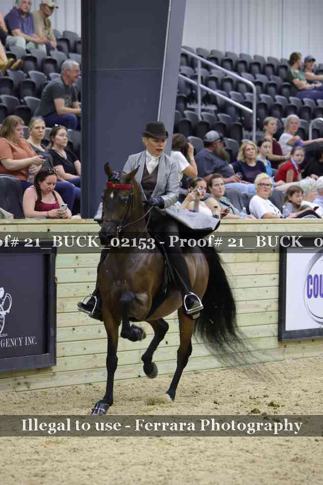 Proof 21_BUCK_02153