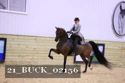 21_BUCK_02156 proof