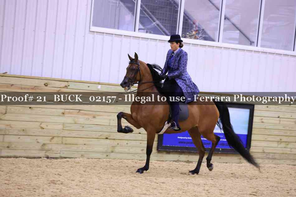 Proof 21_BUCK_02157