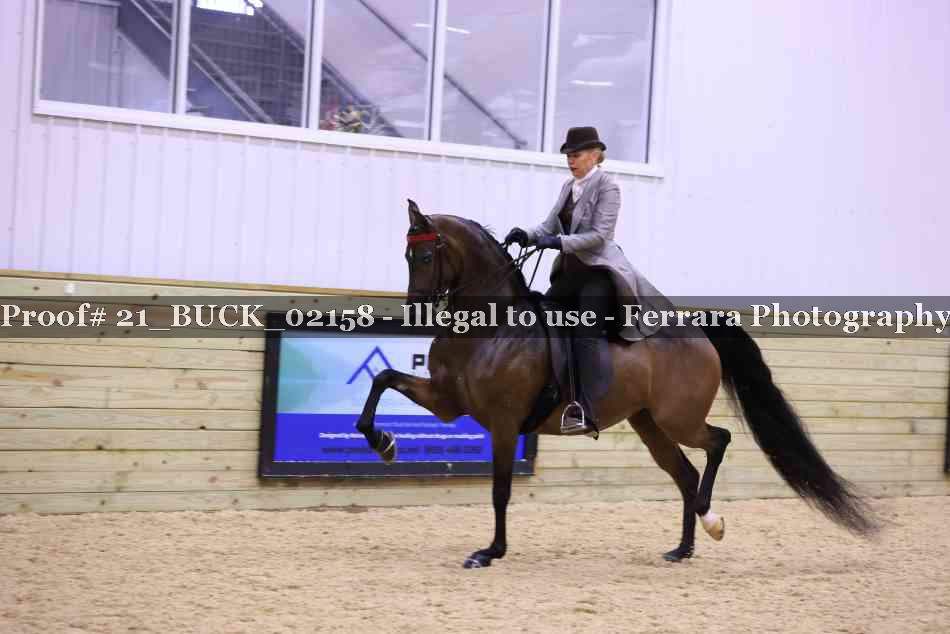 Proof 21_BUCK_02158