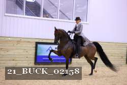 21_BUCK_02158 proof