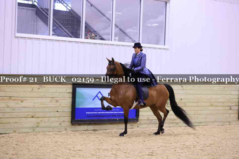 Proof 21_BUCK_02159