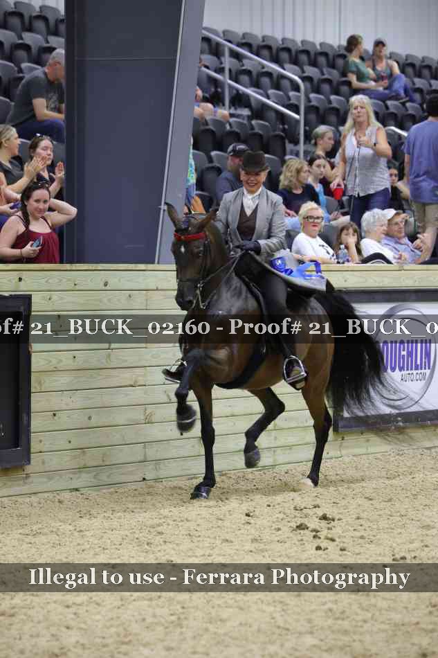 Proof 21_BUCK_02160