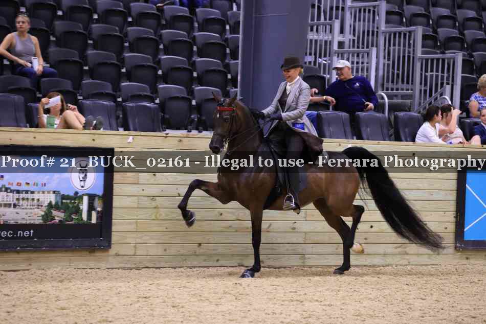 Proof 21_BUCK_02161