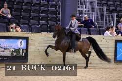 21_BUCK_02161 proof