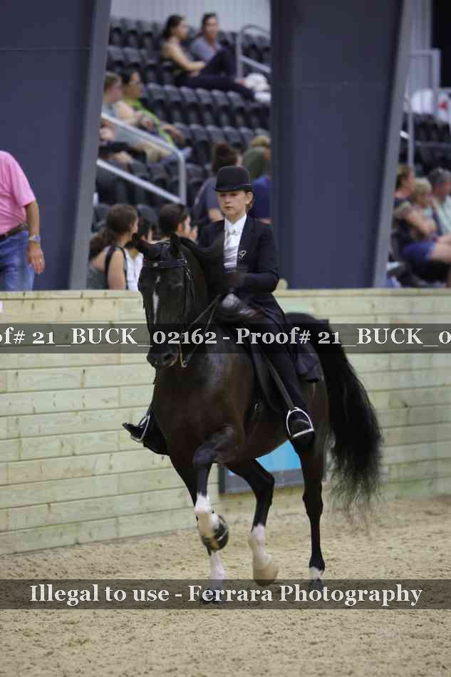 Proof 21_BUCK_02162