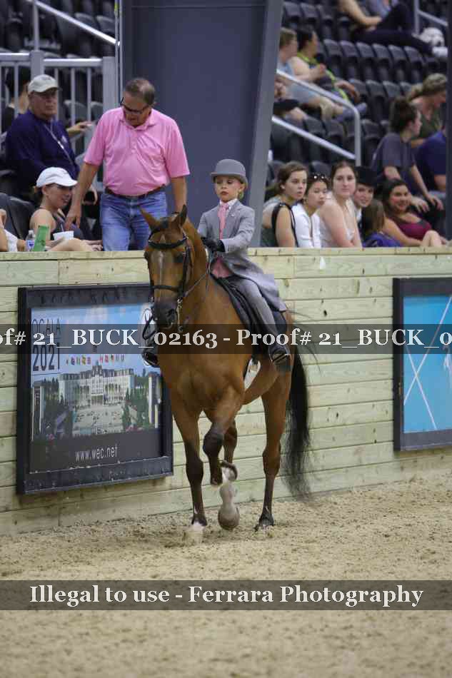 Proof 21_BUCK_02163