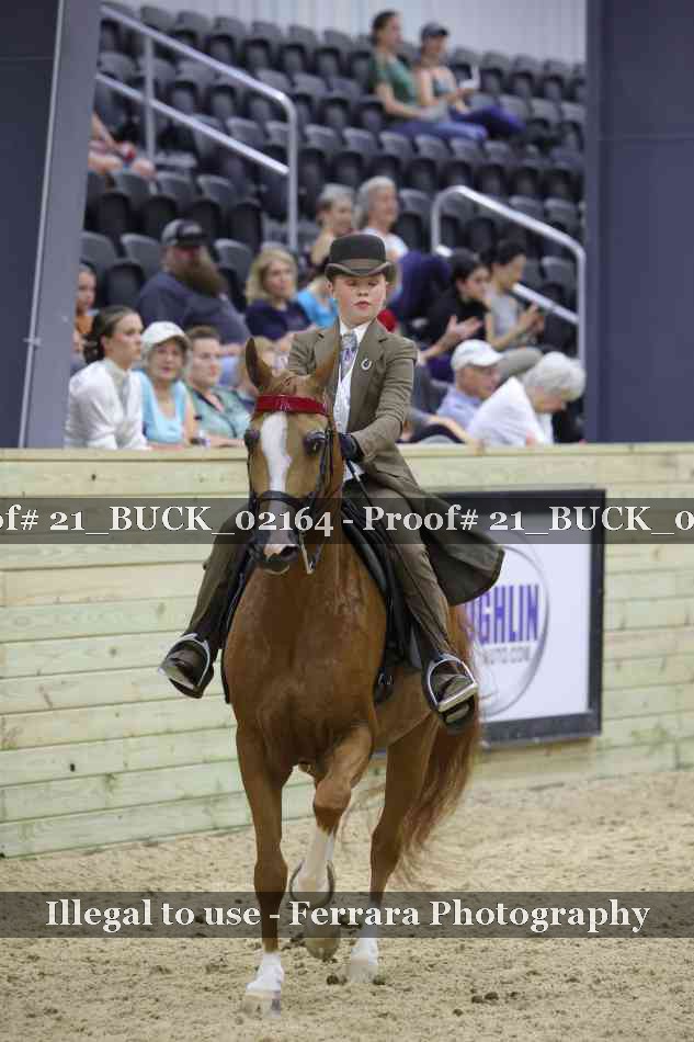Proof 21_BUCK_02164