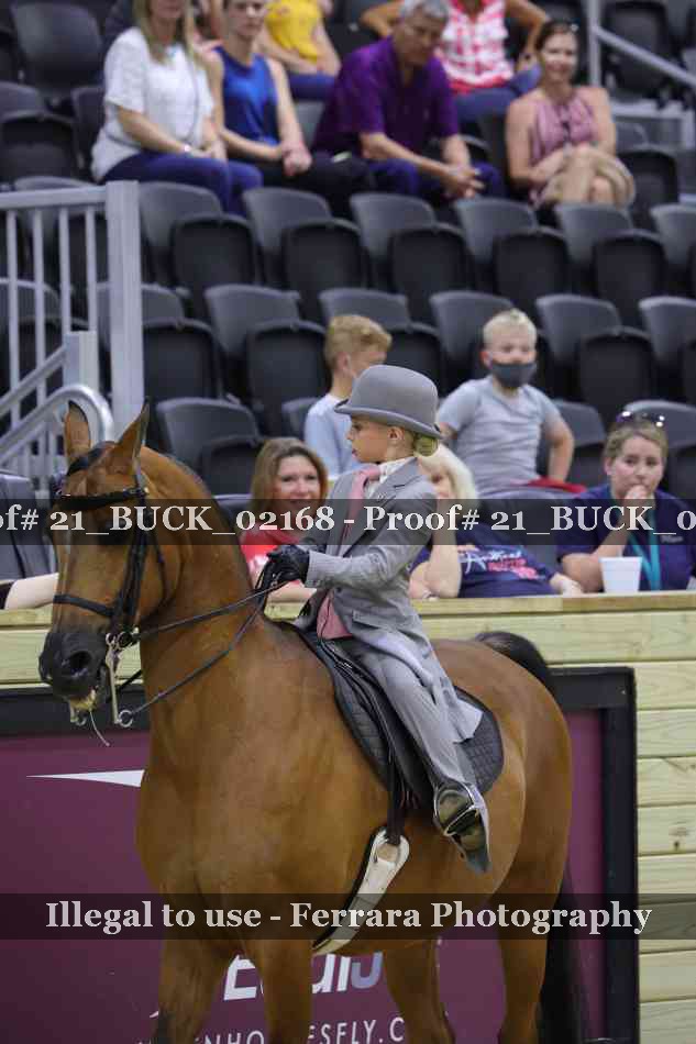 Proof 21_BUCK_02168