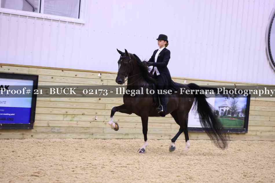 Proof 21_BUCK_02173