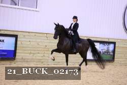21_BUCK_02173 proof