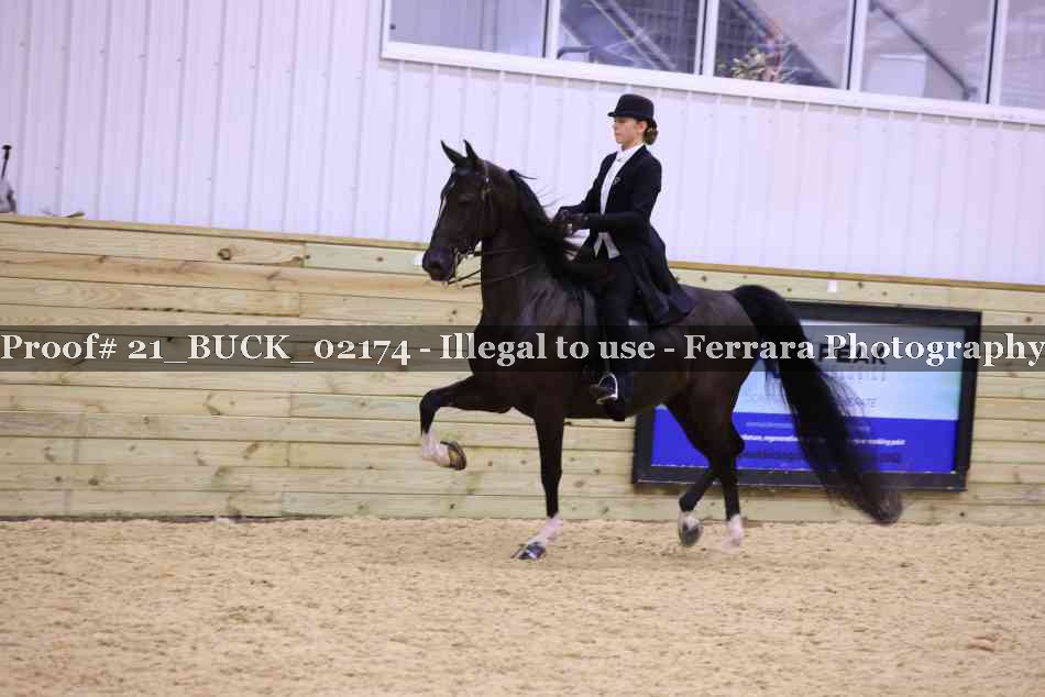 Proof 21_BUCK_02174