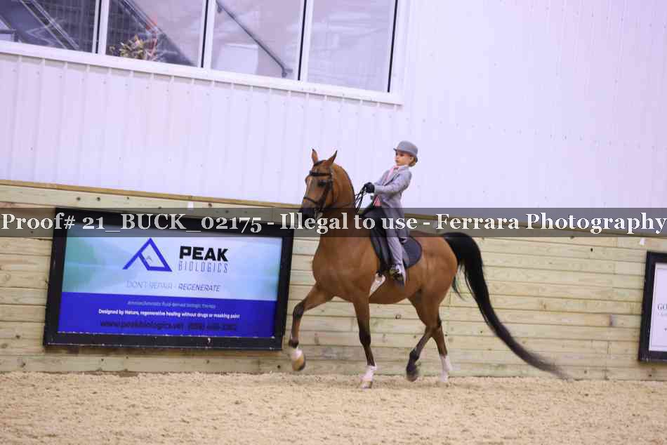 Proof 21_BUCK_02175