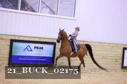 21_BUCK_02175 proof