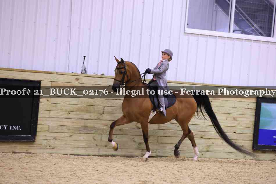 Proof 21_BUCK_02176