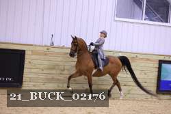 21_BUCK_02176 proof