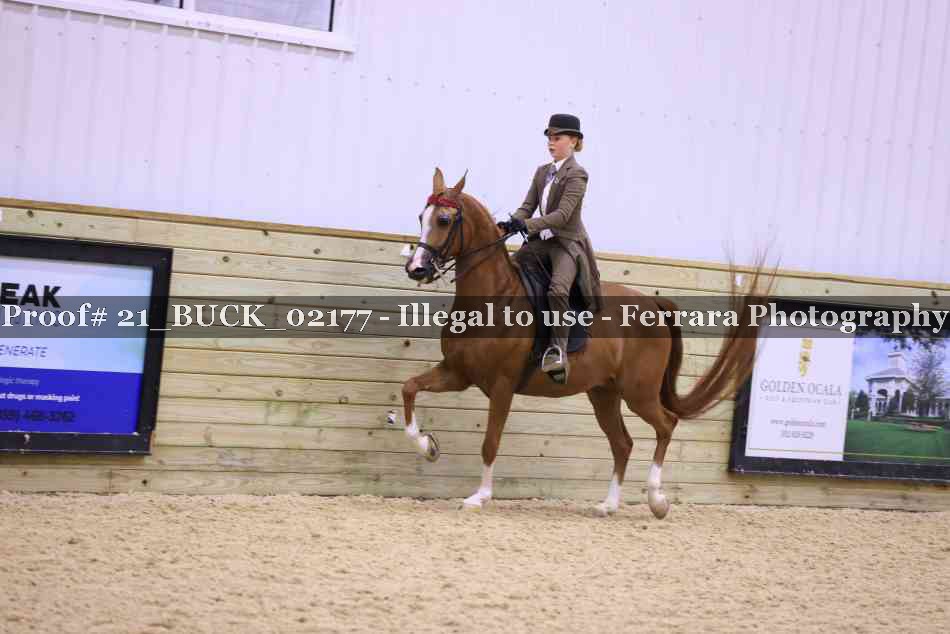 Proof 21_BUCK_02177